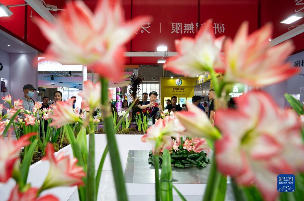 中易通棋牌网